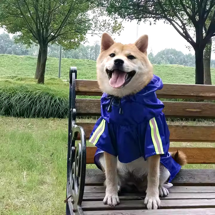 Capa de lluvia para mascota talla L
