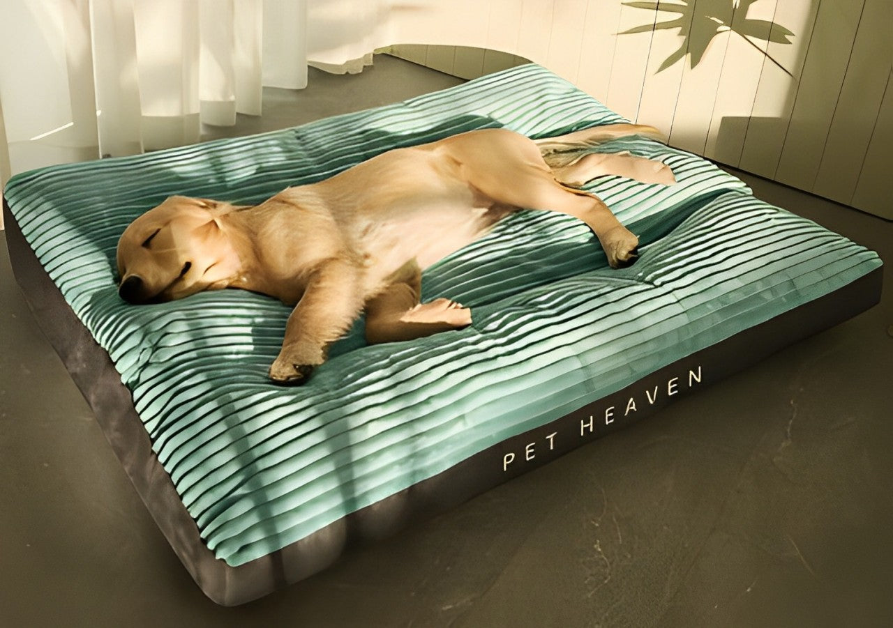 Colchón cama para mascota